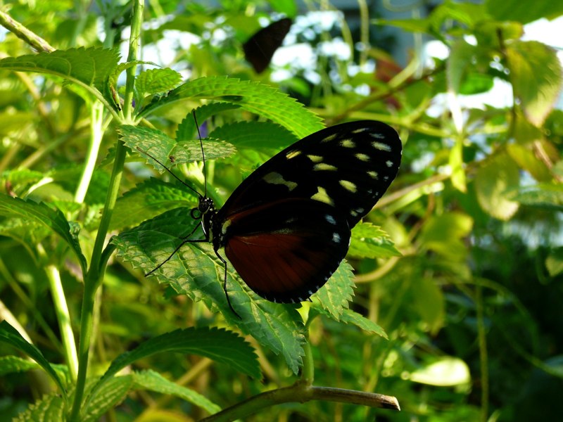 image08